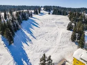 Apartment 112 Ski-in Ski-out - Feldberg