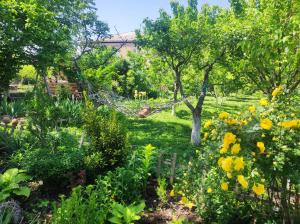 Our Village - 4hvězdičkové hotely ve městě Ashtarak