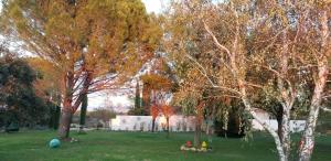 Maisons de vacances Bastide des Calades : photos des chambres