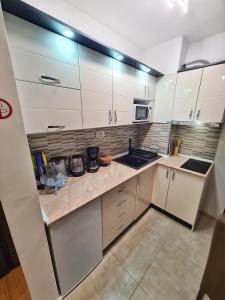 Damjan Lux Apartman Sokobanja Green Hill
