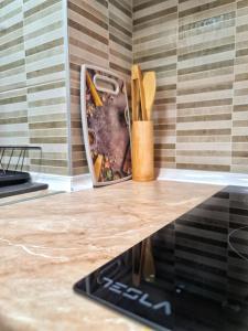 Apartman Damjan Sokobanja