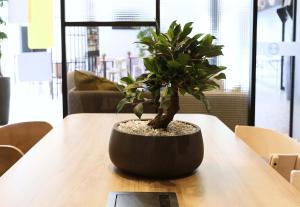 Hotels B&B HOTEL Epernay : photos des chambres