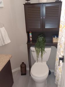 Summerlin Retreat