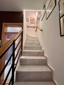 Plavi zec apartman Zemun