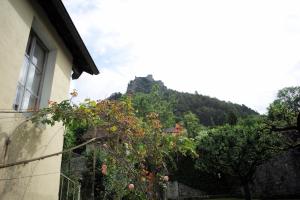 La troussotte, superbe appartement de 110m2 avec terrasse et jardin