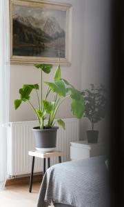 71m2 Apartament Superior na Letniej z Tarasem, Ogródkiem i Widokiem na Góry - Kłodzko - Przyjaciół Ziemi Kłodzkiej