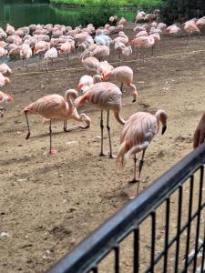 Campings Mobilhome 2 chambres climatise camping 3 etoiles : photos des chambres