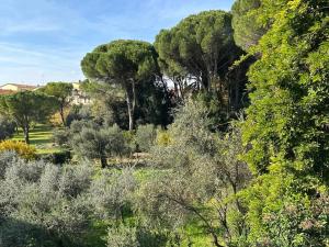Appartamento con 1 Camera da Letto