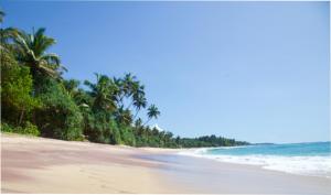 Coastal Dream House with Jacuzzi - 3 Bedrooms - Just Steps from a Stunning Beach