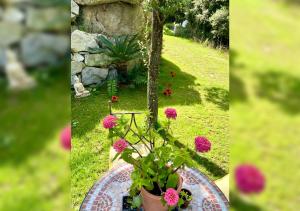 Villa Iris en Ardèche - Piscine Privée et Jardin