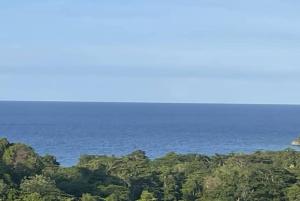 Spring Valley Vista, Ocean View Apartment Ocho Rios