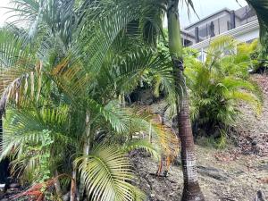 Spring Valley Vista, Ocean View Apartment Ocho Rios