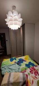 mieszkanie 2 pokojowe Self Check In