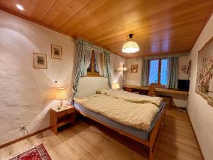 Gstaad Blue Sky Chalet