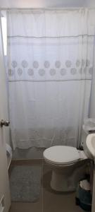 Departamento full amoblado en Villarrica