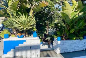 90210 Beach House Top Unit