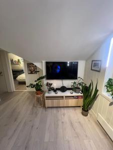 Cozy apartment on the hill