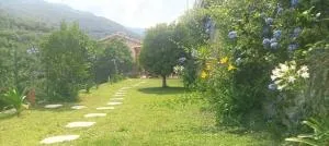 Iris Casa Vacanze - Testico