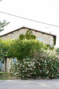 Maisons de vacances Mazet Pierre de Vers - Le Mas des Olivers Nimes : photos des chambres