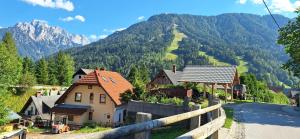 MountainSpring
