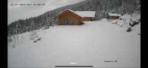 Cabana De Vis Pietrosul