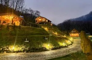 Chalets du BF - Seleuşu-Mare