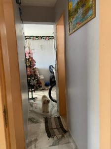 Cop 30 orla de Belém