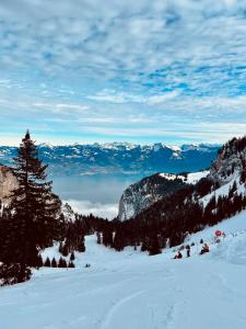 Chalets Cocon des Alpages : photos des chambres