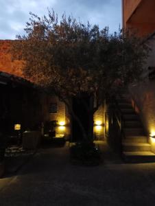B&B / Chambres d'hotes Chambre d-hote Les Oulies Bedoin : photos des chambres