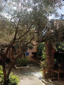 B&B / Chambres d'hotes Chambre d-hote Les Oulies Bedoin : photos des chambres