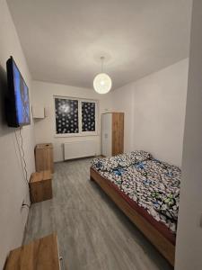 Cristina and Rafael studio 2