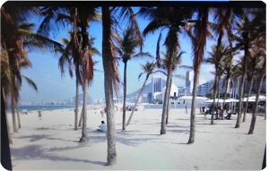 Temporada Copacabana Ale