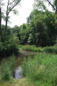 Apartement with terras in Amsterdam Noord