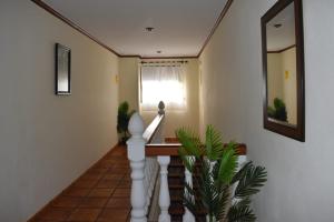 HostalRural Elbosque deLola