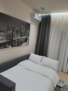 Serenity Luxury Apartment 1