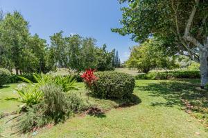 Plumeria Tree Hale - Golf Course View - Sleeps 4