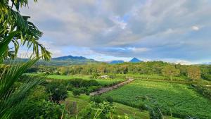 Nayari Poas Farmstay A-frame Chalet
