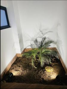 Apartamentos como en casa