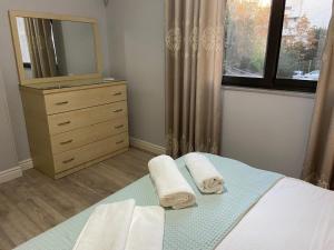 Comfy apartments in Blloku Zone 2