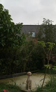 La Marrona - Casa de Huéspedes RURAL