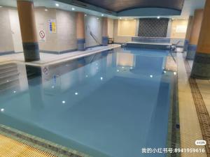 Darling Harbor Oasis