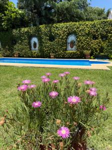 LPR Express EZE Airport