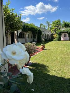 LPR Express EZE Airport