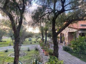 Country Retreat on 14 acres