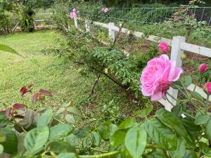 บ้านพอดีโฮมสเตย์ทองผาภูมิ -กาญจนบุรี