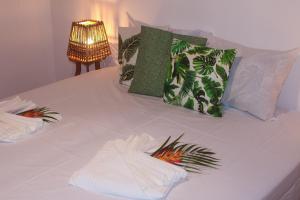 Village da Mata Arraial