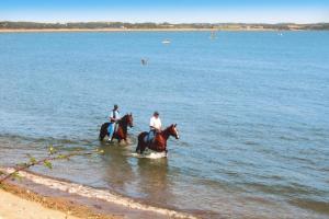 Appartements Apartment in Penestin near Mine d-Or Beach : photos des chambres