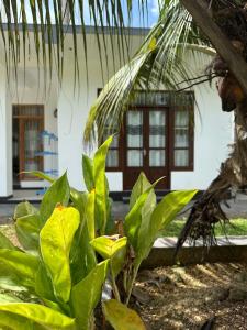 A&A villa