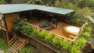 Grajagan Mata Atlântica