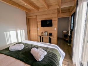 Maisons de vacances Chalet grand confort avec sauna et balneo - Proche stations de ski - FR-1-589-762 : photos des chambres